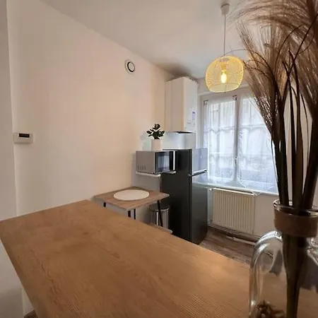 Le Beau Milo 2 Chambres Coeur De Ville Avec Balcon Netflix Le Creusot Buitenkant foto